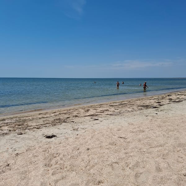 Beach scenes with swimmers and debris documented by witnesses