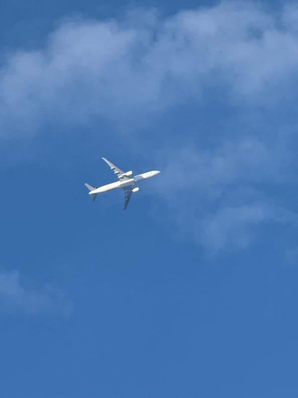London resident documents neighborhood scenes and overhead aircraft