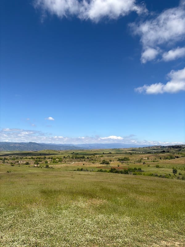 Pastoral landscape with mountains documented under clear skies