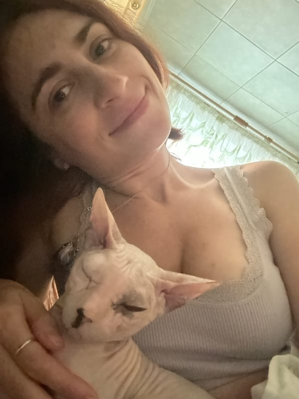Sphynx cat at home in Togliatti, Russia