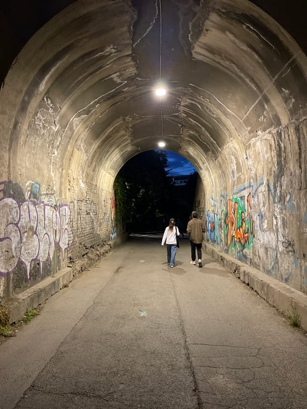 Evening urban documentation captures tunnel walkers, buildings in Zemun
