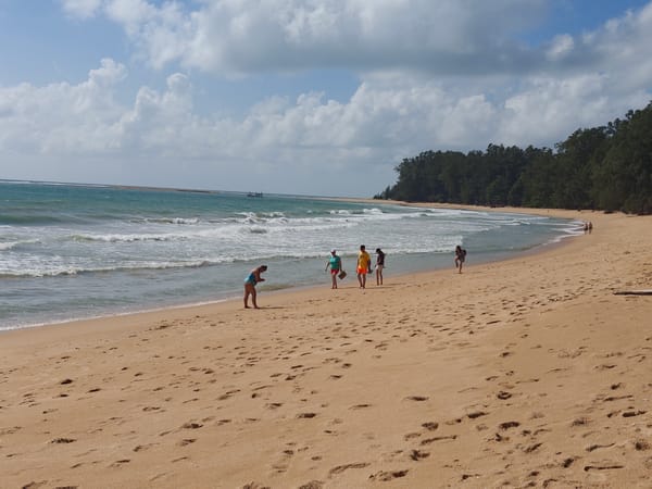 Quiet beach morning in Sakhu with volleyball and driftwood