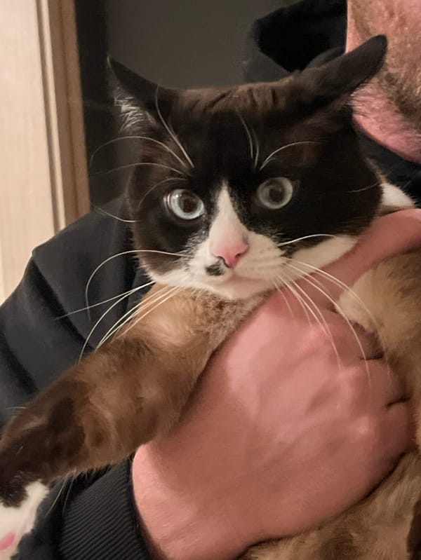 Domestic life moments captured across Noviy, Russia households