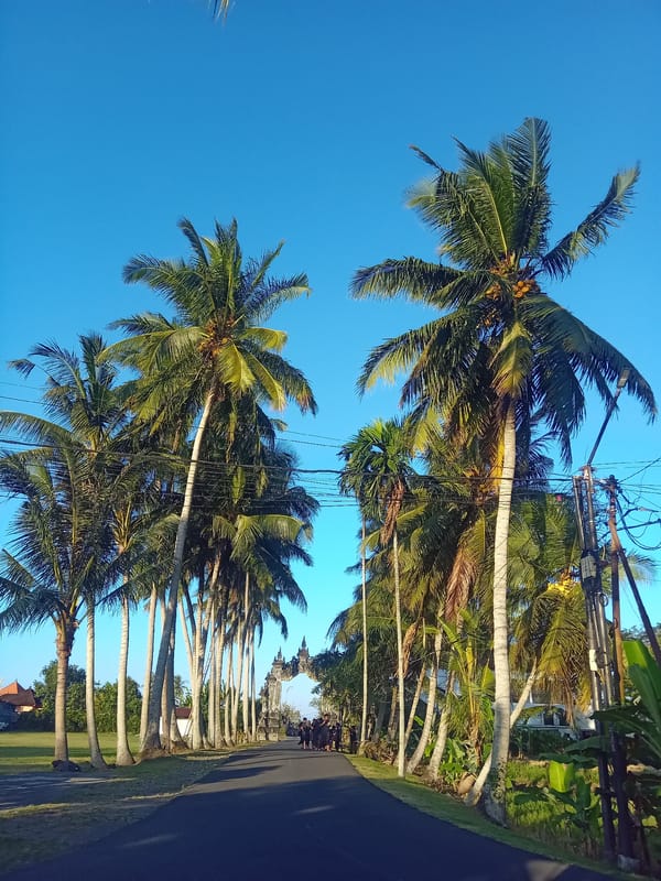 Palm-lined road leads to a Krishna temple in Blahbatuh, Bali