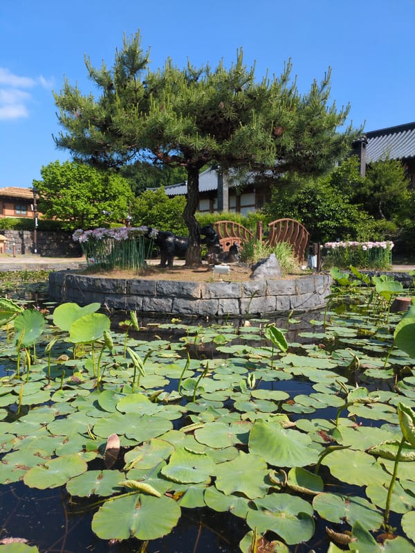 Morning documentation of traditional architecture in Gongju-si, South Korea