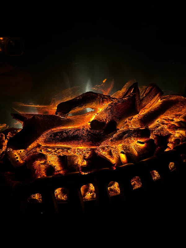Evening scenes: fireplace embers, sleeping kitten, nighttime neighborhood views