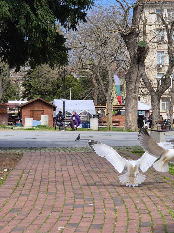 Tourist documents morning stroll through central Varna, Bulgaria