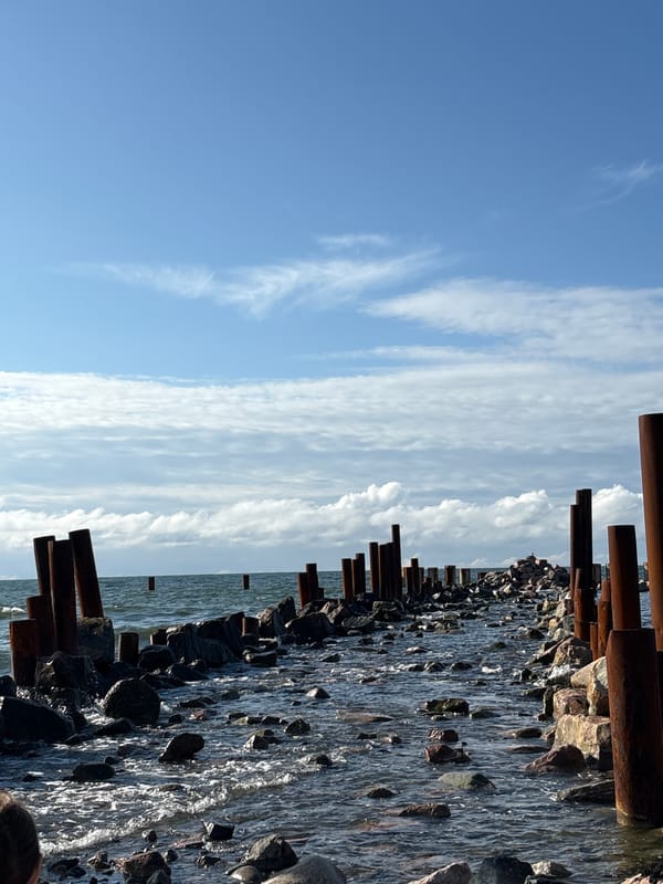 Svetlogorsk's Baltic coast on a summer afternoon