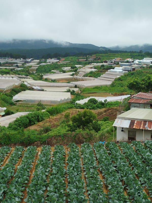 Everyday life and landscapes around Da Lat, Vietnam