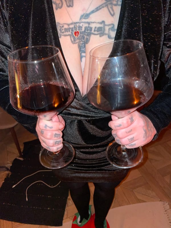 Wine evening captured in Montenegro village gathering