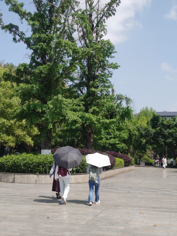 Late-night campus life documented in Chongqing High-tech Zone