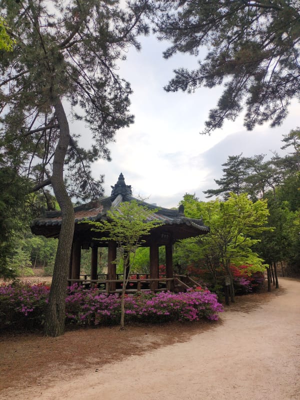 Morning visit to Taehwagang National Garden in Ulsan documented