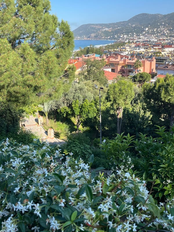 Dawn view captured of Alanya's Mediterranean coastline and mountains