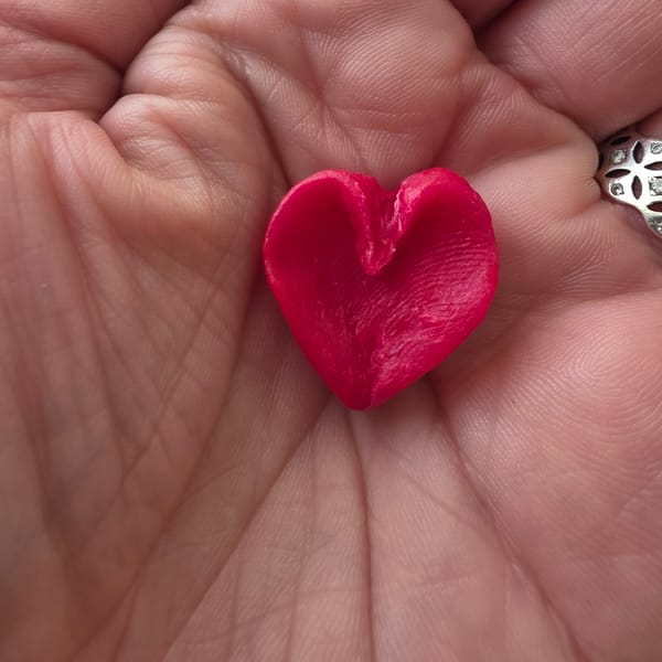 Person holds red heart-shaped object in Zheleznitsa, Bulgaria