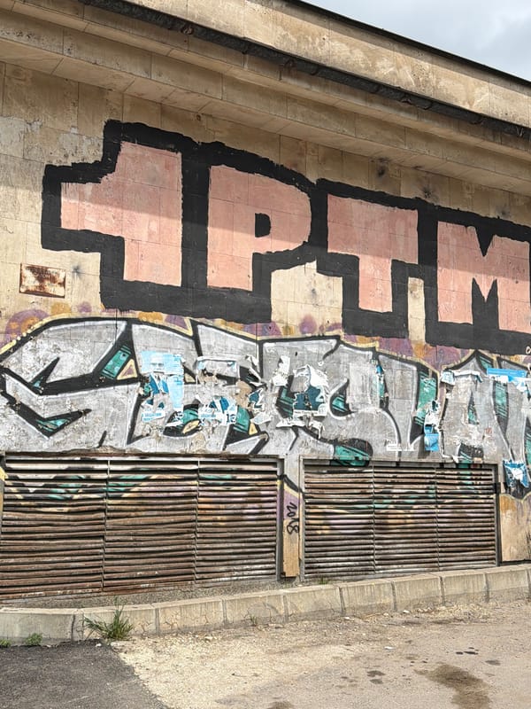 Woman in pink coat spotted in urban graffiti area