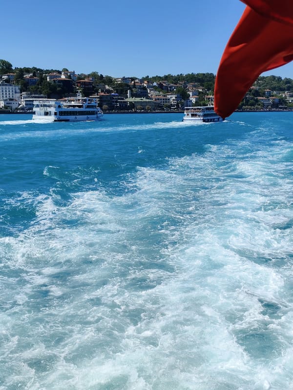 Ferry traffic observed on Bosphorus Strait near Sarıyer