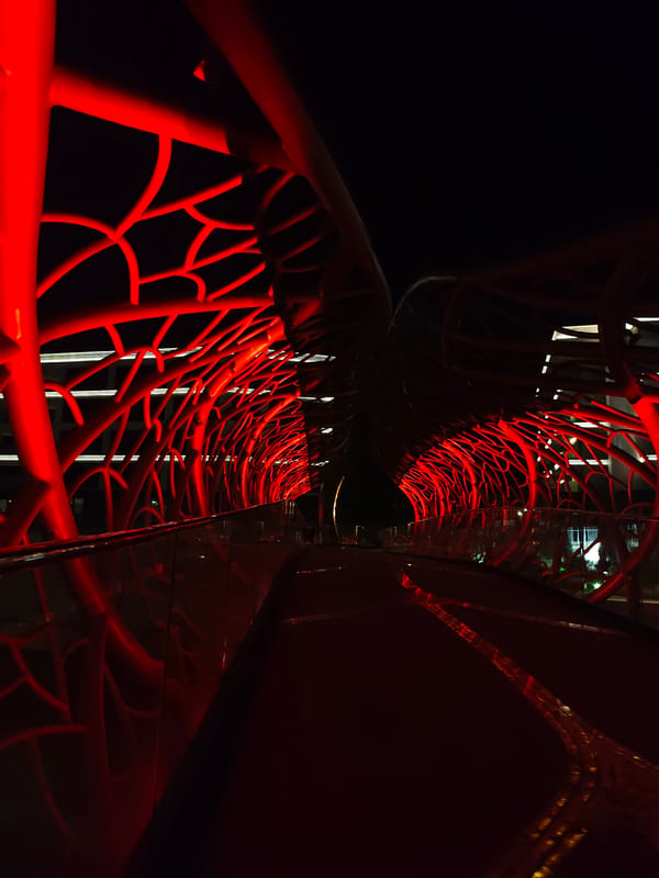 Sochi beach club glows with neon lights and cactus sculptures at night