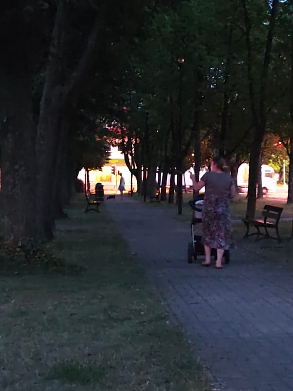 Afternoon in Stryków: flowers, footpaths, and one concerning scene