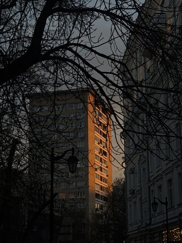Moscow observer captures unusual inverted building view through bare branches