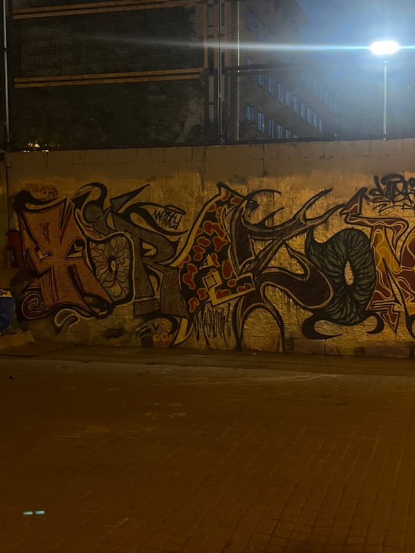 Evening street art documentation captured across Barcelona neighborhood