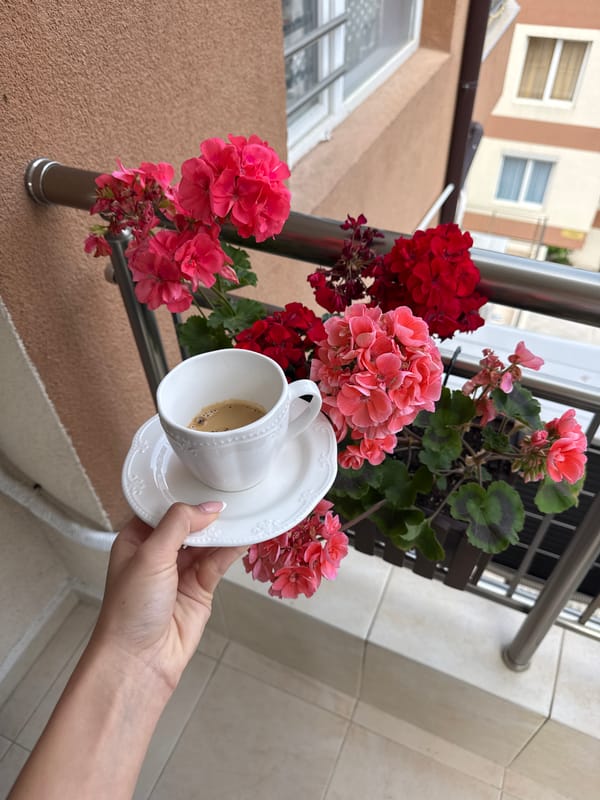 Coffee break captured amid flowers on Burgas windowsill