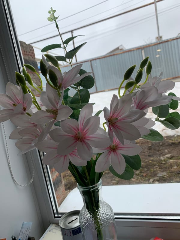 Spring morning snapshots captured across Izhevsk region, Russia