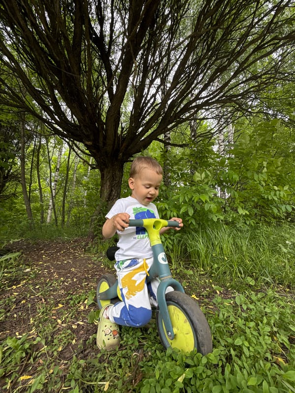 Mother and toddler photographed on woodland path