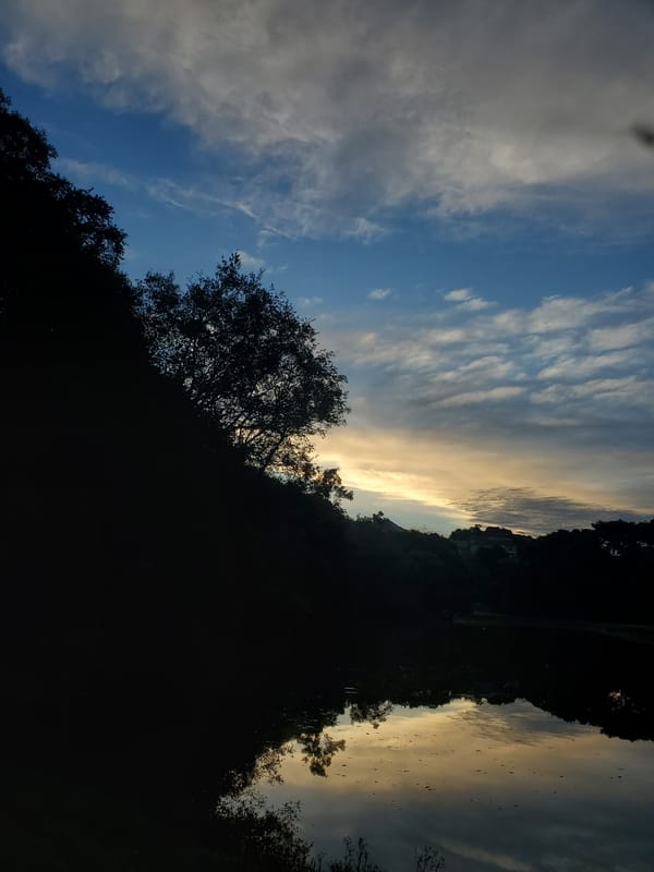 Witness documents sunset transition at Curitiba park waterfront