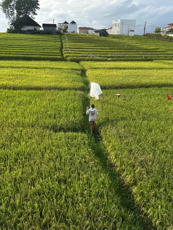 Person flies kite through green rice terraces while woman relaxes nearby