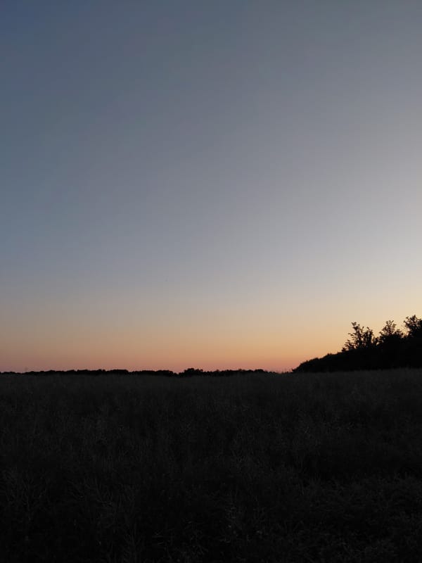 Rural sunset documented through 30 photographs over 38 minutes
