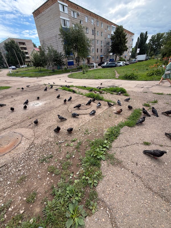 Morning walk through Tujmazy's streets and garden beds