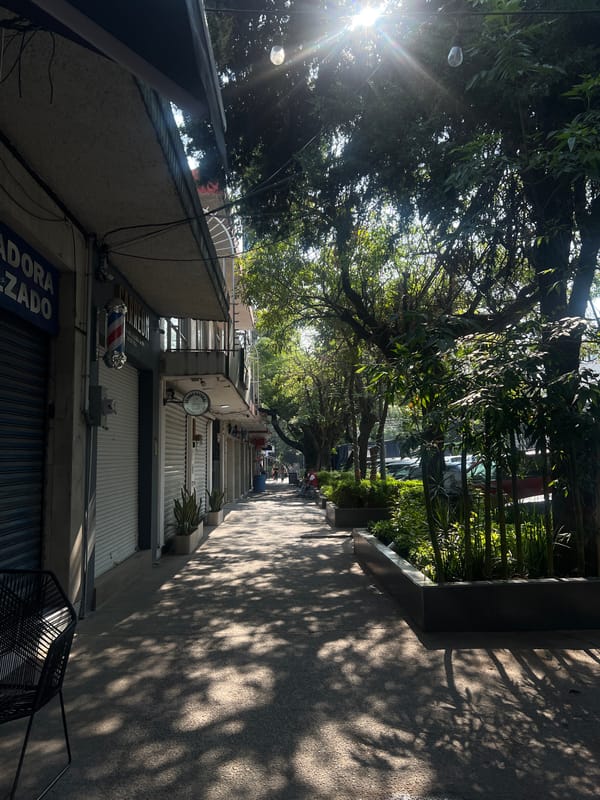 Quiet afternoon on shuttered commercial street in Mexico City