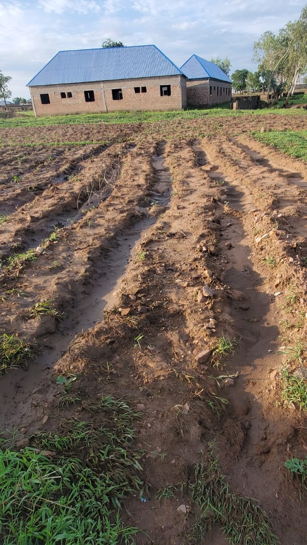 Rural morning landscapes documented around Jalingo, Nigeria