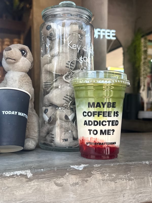 Coffee shop scenes captured showing beverage display and barista