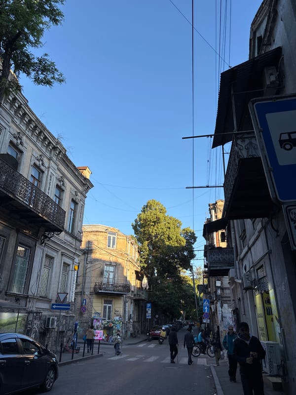 Cat explores storage nook in Tbilisi building