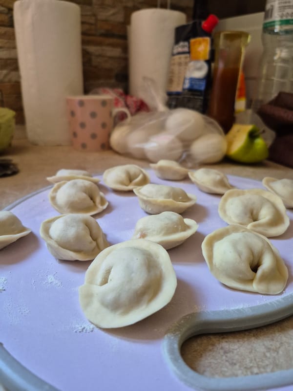Homemade dumplings, grilled skewers, and dogs chilling at home
