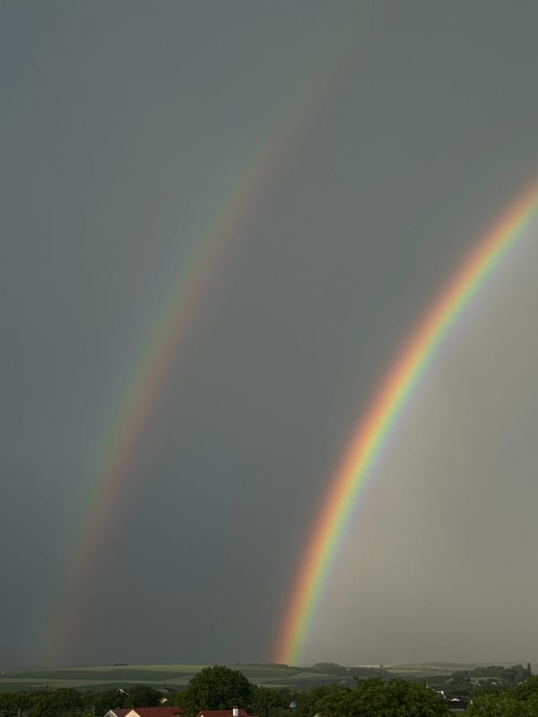 Double rainbow stretches over a tree-lined suburban skyline