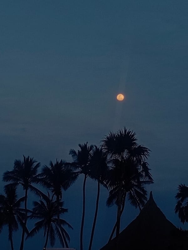 Evening resort scenes captured at Hesperia Playa El Agua