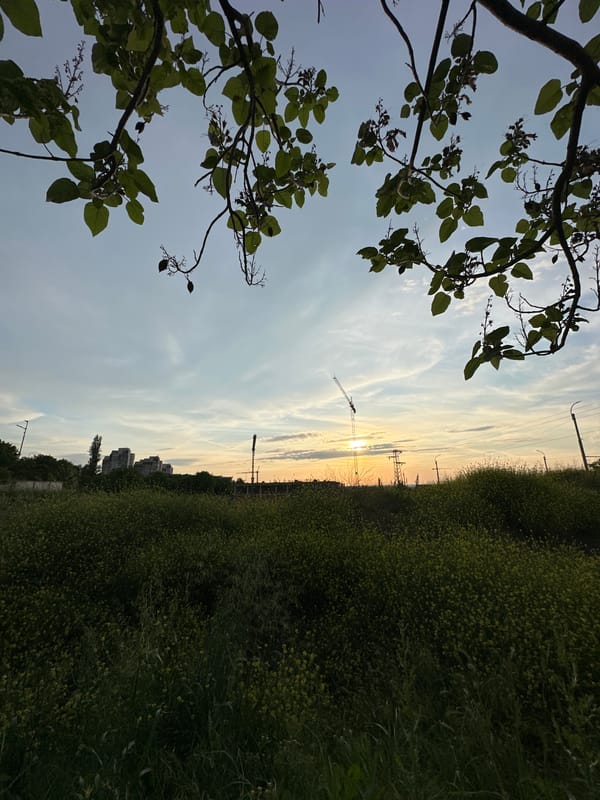 Evening scenes documented across Pleven, Bulgaria construction and streets