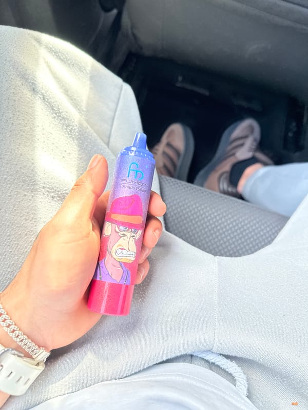Person holds cartoon-decorated vape device inside vehicle in Zeist