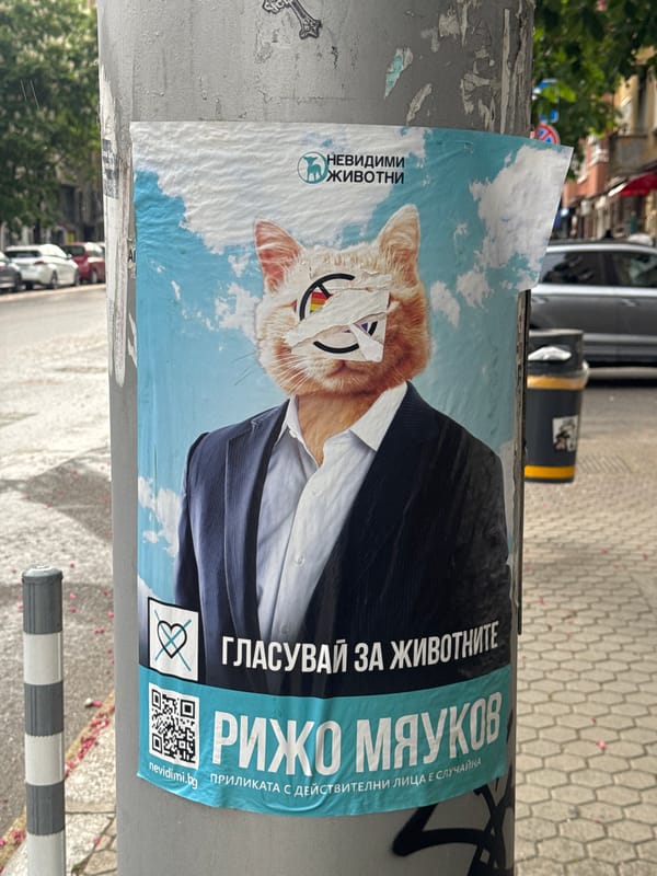 Daily life moments captured across Sofia neighborhoods