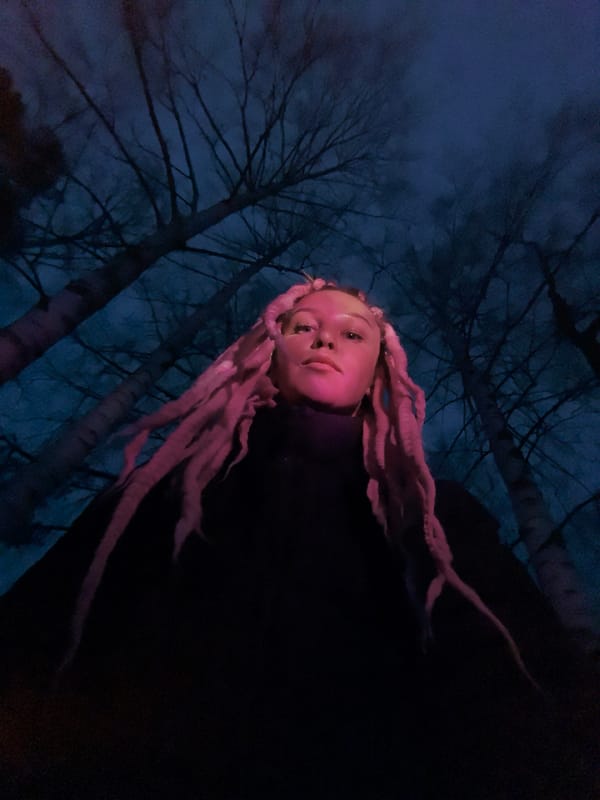 English bulldog playtime captured in rural Russian yard