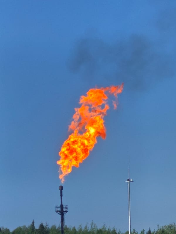 Industrial flare and crane fly macro photography session
