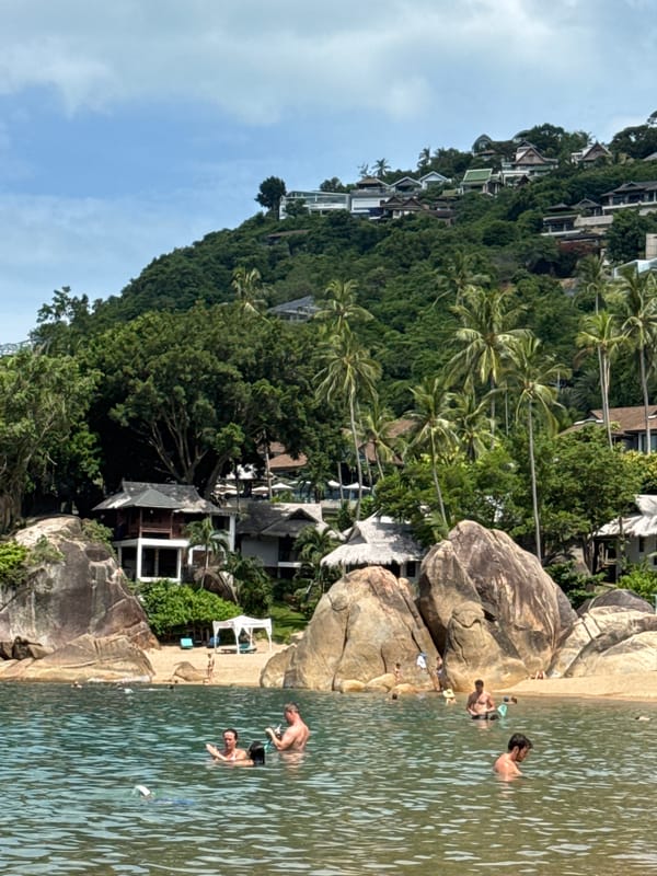 Beach day snapshots: swimmers, a resting dog, and shifting skies