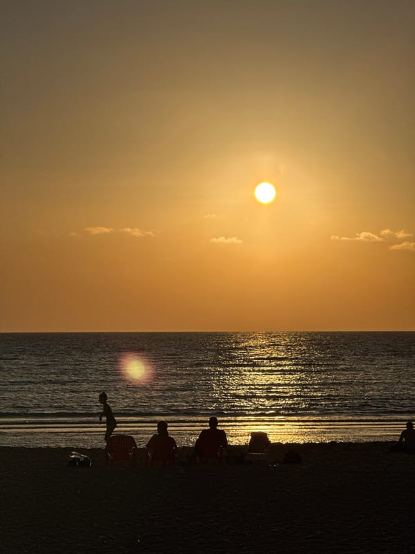 Tel-Aviv beach sunset witnessed with man and dog