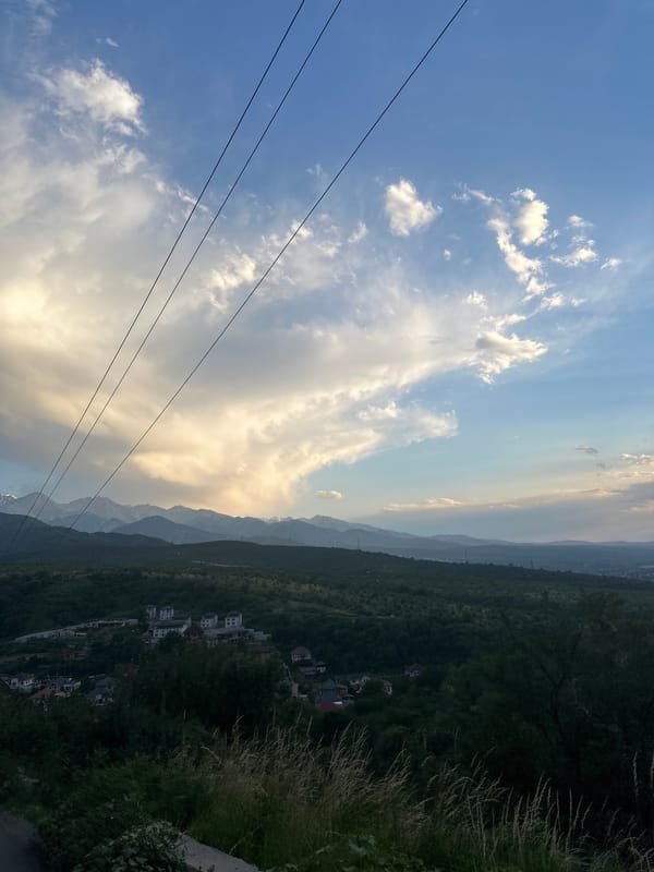 Mountains, overgrown forest, and a cloudy sunset sky