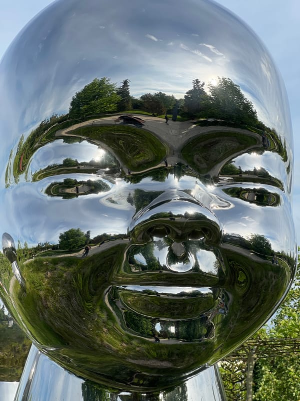 Visitors explore reflective head sculptures in Krasnodar park