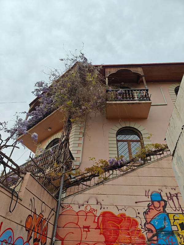 Photographer documents Tbilisi cityscape under cloudy skies