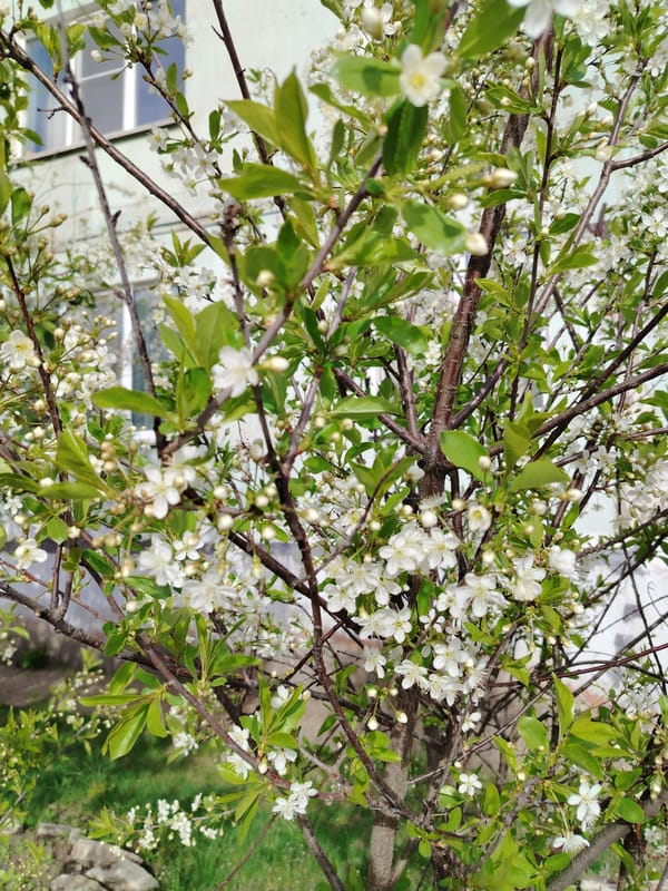 Spring day scenes captured across Noviy, Russia