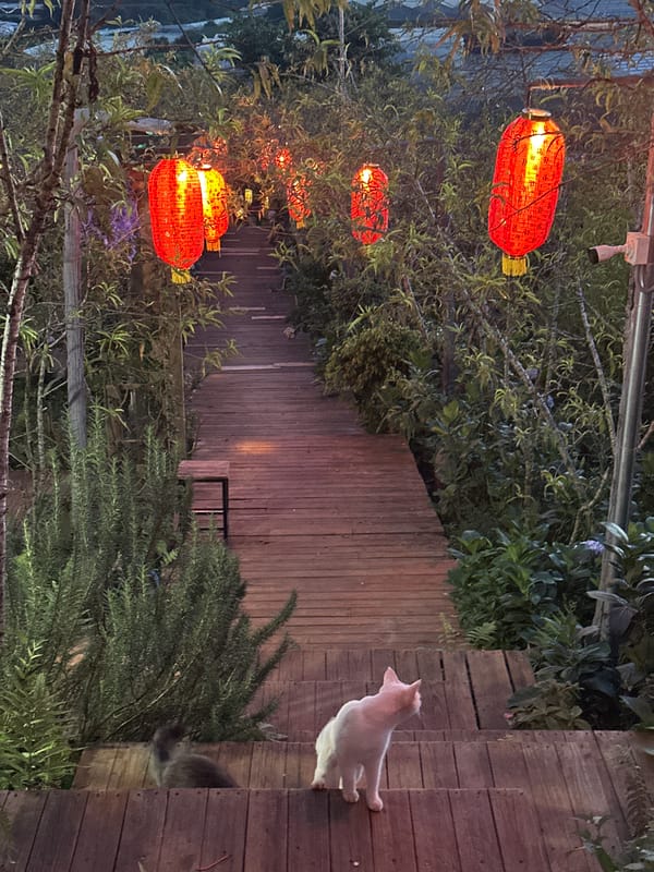 Red lanterns glow along a garden path at dusk in Lộc Quý